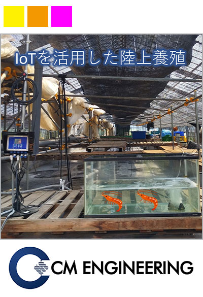 IoTを活用した陸上養殖で耕作放棄地を有効活用し、地方の課題解決に挑戦するCMエンジニアリング